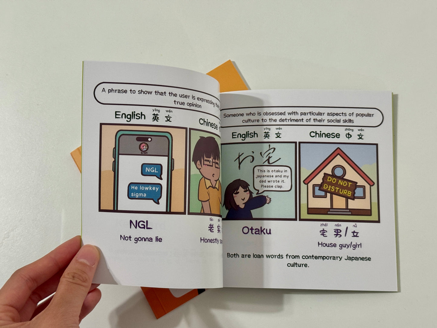 Vol 2: An Unserious Guide to English-Chinese Internet Slang (2025)