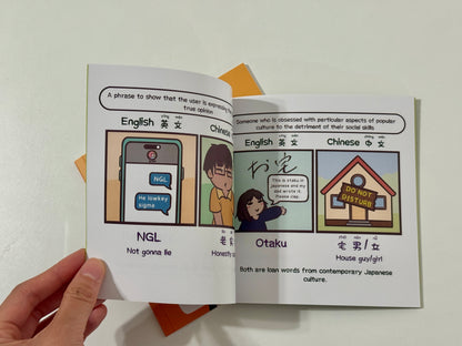 Vol 2: An Unserious Guide to English-Chinese Internet Slang (2025)